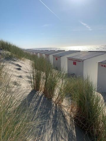 Studio Zeezicht Nieuwpoort Eksteriør billede
